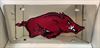Arkansas Razorbacks vanity license plate car tag